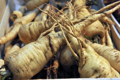 Das Rüben-Comeback: Schmeckt und gefällt