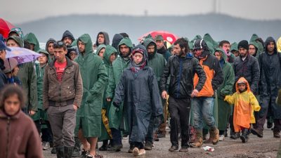 Österreichs Außenminister: „Man kann sich das Aufnahmeland nicht aussuchen“