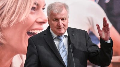 Seehofer: Nur Politikwechsel wird AfD überflüssig machen