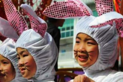 Guten Tag, mein Name ist Hase!