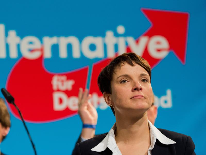 FPÖ-Chef traut Petry erfolgreichere Kanzlerschaft als Merkel zu