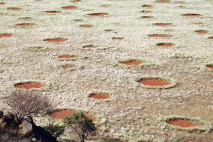 Forschung: Mysteriöse Feenkreise gibt es auch in Australien