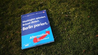 AfD will laut Programm echte Flüchtlinge schützen