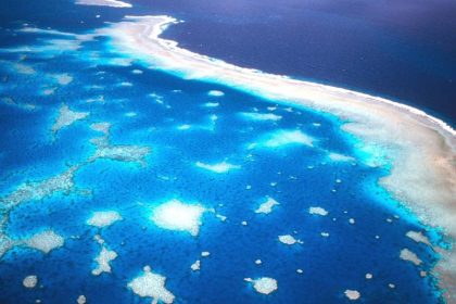 Alarm am Great Barrier Reef wegen massiver Korallenbleiche
