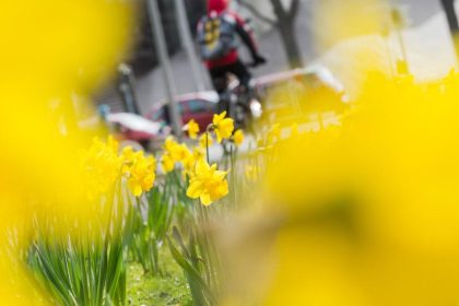 Durchwachsenes Frühlingswetter zu Ostern