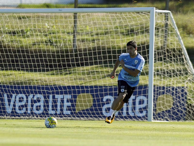 Suárez nach zwei Jahren zurück im Uruguay-Team