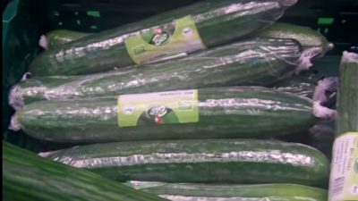 Foodwatch: Warum sind Bio-Gurken in Plastik verpackt?