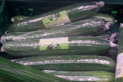 Foodwatch: Warum sind Bio-Gurken in Plastik verpackt?