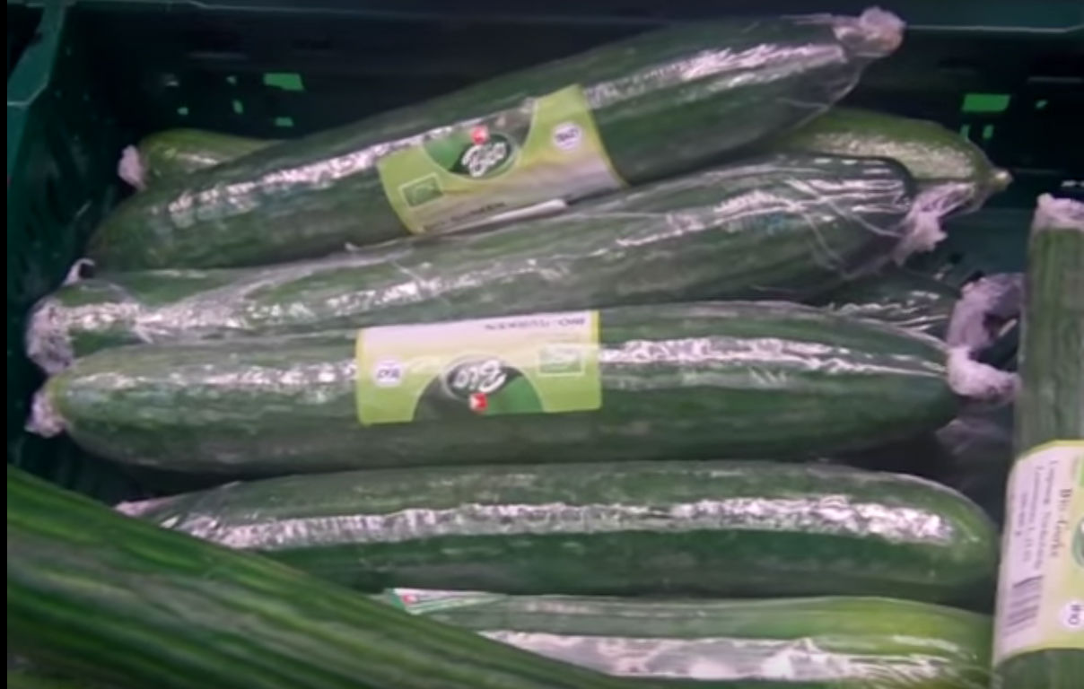 Foodwatch: Warum sind Bio-Gurken in Plastik verpackt?