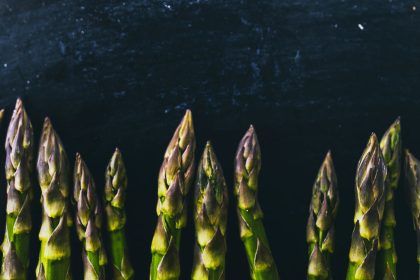 Spargel aphrodisiert und hilft bei Verstopfung, Nieren- und Leberleiden