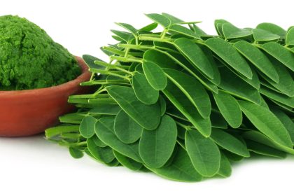 Moringa schützt vor Krebs und Diabetes und verschafft Asthmatikern Linderung (+VIDEO)