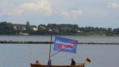 Umfrage-Schock für CDU: AfD überholt in Meck-Pomm