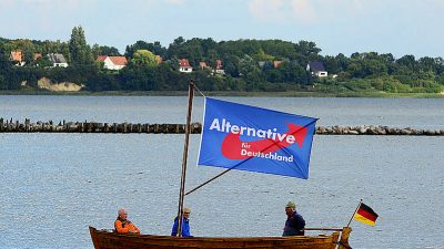 Neuer Höhenflug der AfD: Wahlkämpfer im Nordosten alarmiert