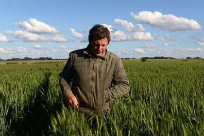 EU-Parlament mehrheitlich: Glyphosat für weitere 7 Jahre zulassen
