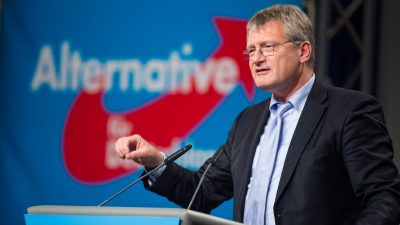 AfD-Chef Meuthen: Positionen zu Flüchtlingen, D-Mark und „Nord-Euro“