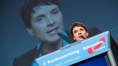 Petry schließt Beteiligung der AfD an Regierungskoalitionen nicht aus