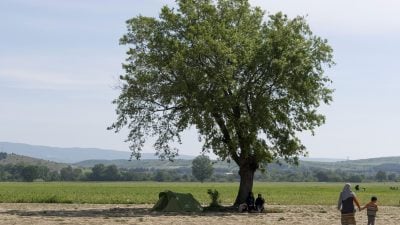 Griechenland: DIW hält Gefahr eines Grexits für gebannt