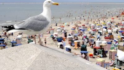 Viele Arbeitnehmer hätten lieber mehr Urlaub als mehr Geld