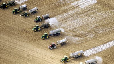 Edeka Südwest gibt regionalen Milchbauern Preisgarantie