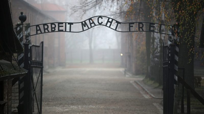 Letzte französische Auschwitz-Überlebende und Mutter von 6 Kindern starb im Alter von 101 Jahren
