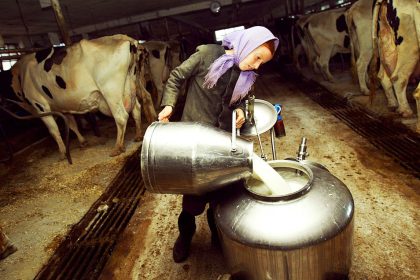 Milch: Das sind die Fallstricke und Alternativen