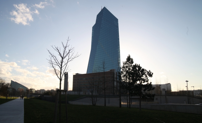 Dekabank-Chef: Nutzen der EZB-Politik nimmt deutlich ab