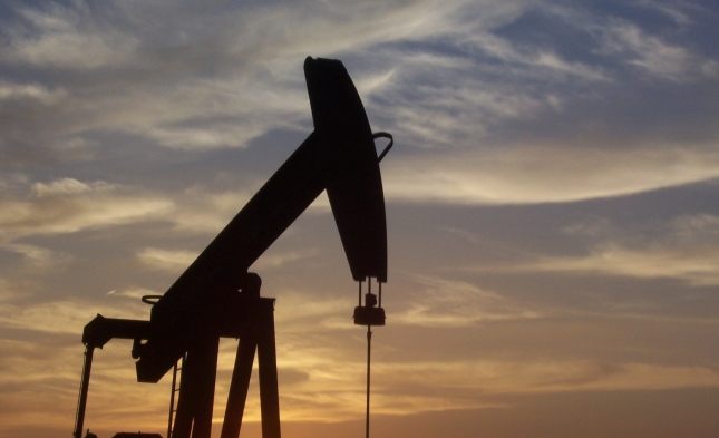 DIW erwartet leichten Ölpreisanstieg