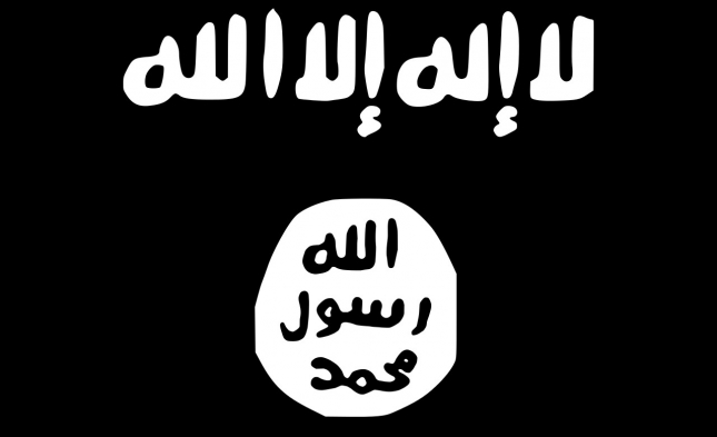 Bericht: IS-Propagandamaterial bei Fahrern des EU-Parlaments entdeckt