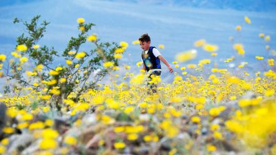 Stubenhocker: Geht endlich in die Sonne!