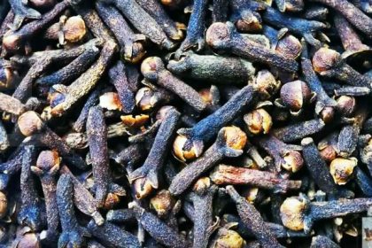 Mit diesen 5 Gewürzen entspannt abnehmen