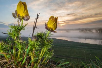 Der Frühlingsbeginn bleibt überwiegend kühl