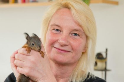 Eichhörnchen-Findelkindern kann geholfen werden