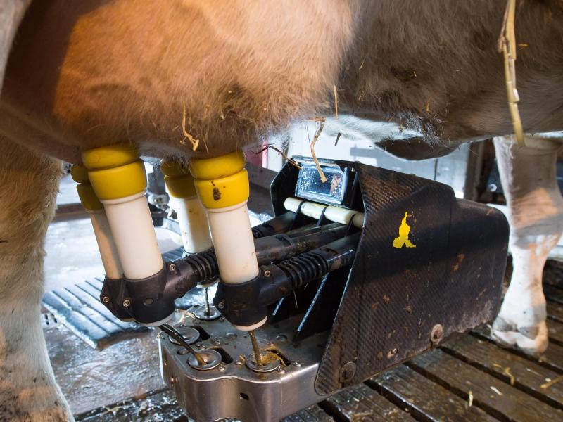 Agrarminister beraten über Milchmarkt-Krise