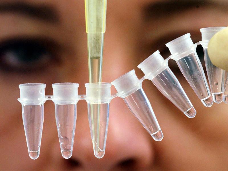 Abstammungsrecht: Karlsruhe urteilt zu DNA-Tests