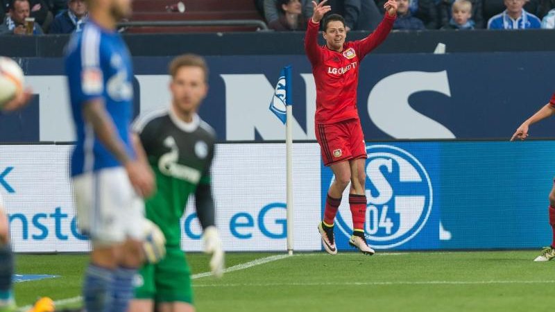 Bayer siegt spektakulär auf Schalke: Nach 0:2 noch 3:2