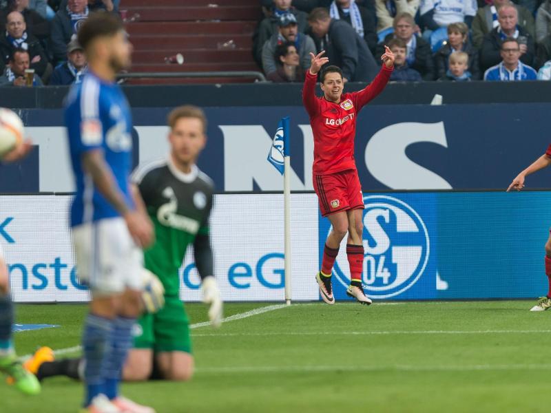 Bayer siegt spektakulär auf Schalke: Nach 0:2 noch 3:2