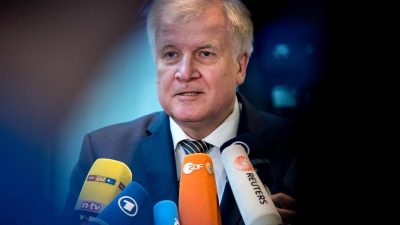 Seehofer für Überwachung radikaler Umtriebe in Moscheen