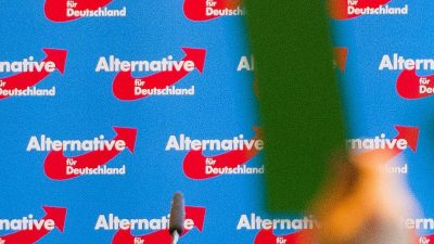 AfD will auf Parteitag erstmals Parteiprogramm beschließen