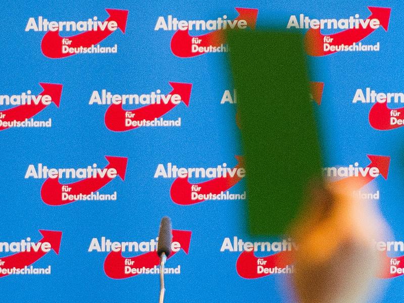 AfD will auf Parteitag erstmals Parteiprogramm beschließen