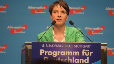 AfD präsentiert sich als deutschnationale Partei – CDU und SPD werfen Rückständigkeit vor