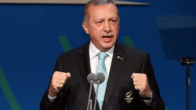 Erdogan kritisiert Polizei-Gewalt gegen Demonstranten und „Medienzensur“ in Frankreich