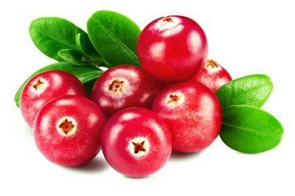 Mit Cranberrysaft gegen Nierensteine antreten