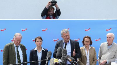 AfD-Vize Gauland verzichtet auf Spitzenkandidatur