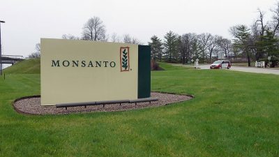 Monsanto wird Bayer-Übernahme angeblich ablehnen