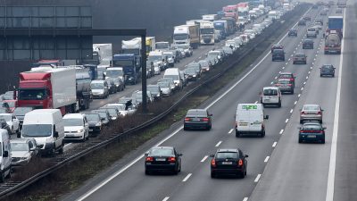 Verkehrsministerium veröffentlicht Verkehrsdaten in der „mCloud“