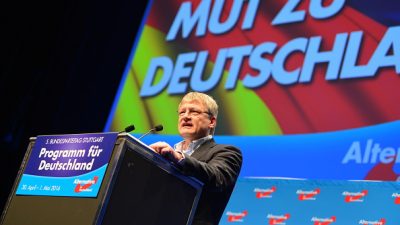 Meuthen: AfD würde in Schwerin auch mit der NPD stimmen