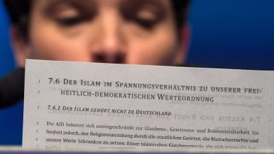 Neues AfD-Grundsatzprogramm: Die wichtigsten Beschlüsse im Überblick