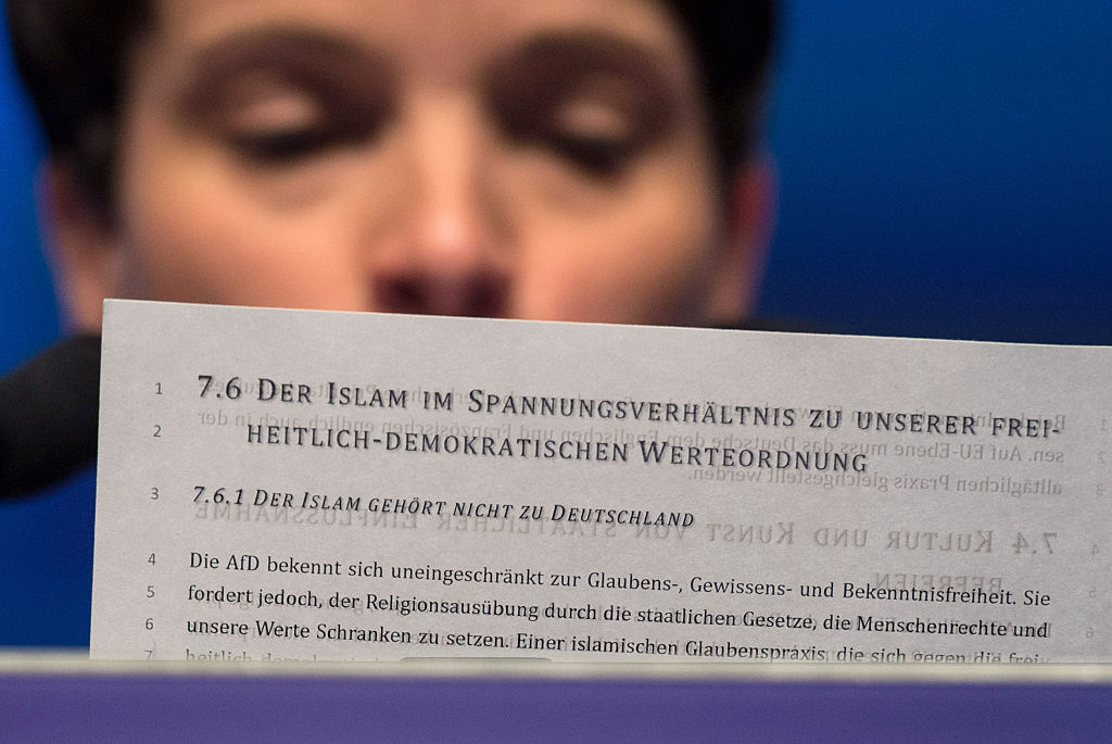 Neues AfD-Grundsatzprogramm: Die wichtigsten Beschlüsse im Überblick