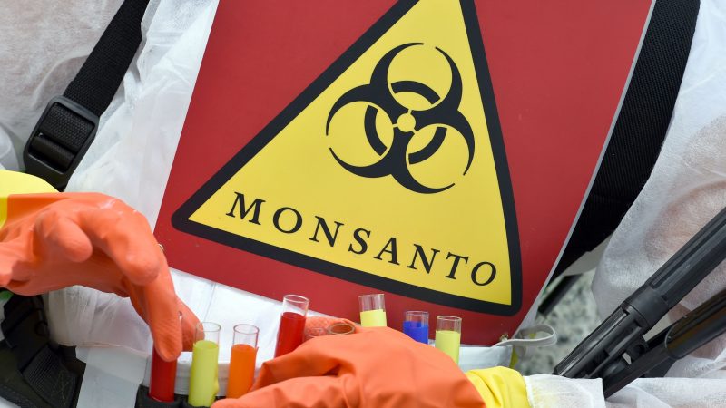 Pharmakonzern Bayer will Monsanto – Kosten: 62 Mrd. US-Dollar – Aktie von Bayer fällt