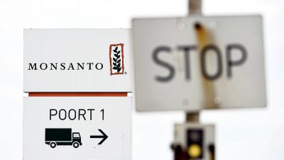 Grüne wollen Verbot einer Übernahme von Monsanto durch Bayer